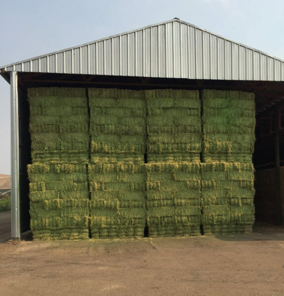 Bales of hay