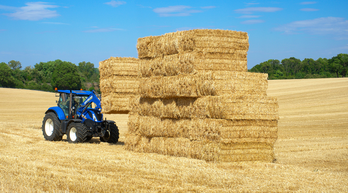 Erosion control straw on a field