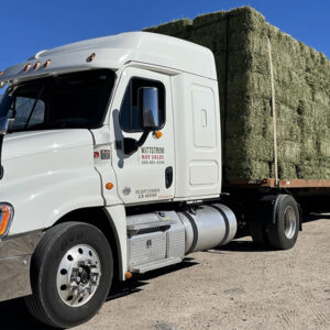 Hay Delivery Near You