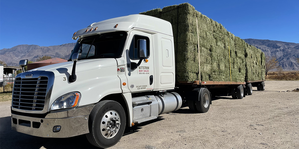 Hay Delivery Near You
