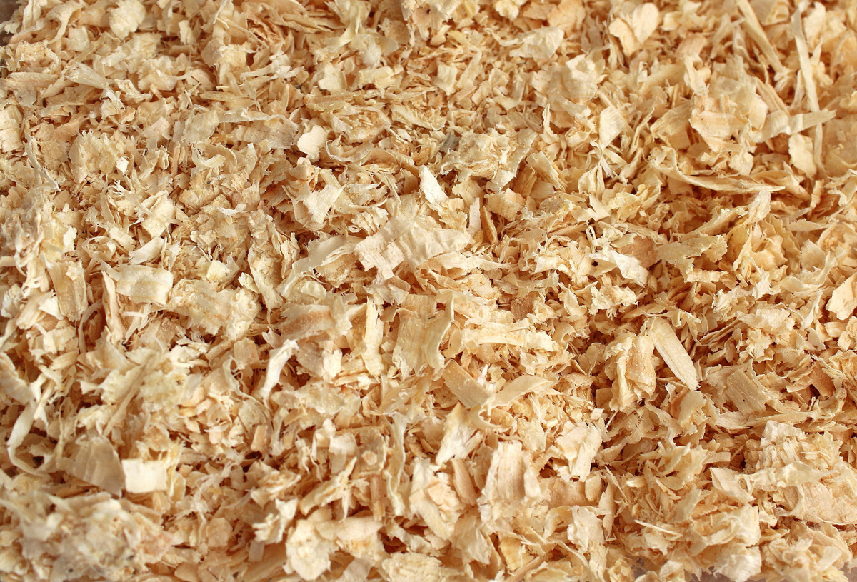 Horse bedding shavings from pine