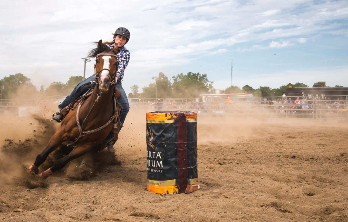 Performance horses like this barrel racer need a high-calorie hay variety.