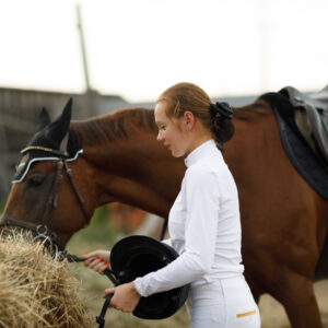 performance horse feed for sale in California