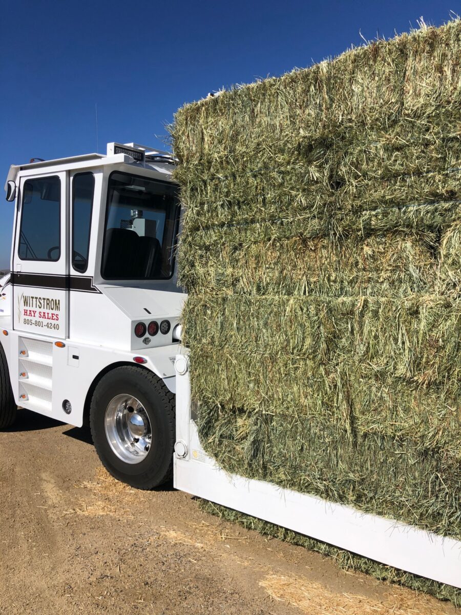 Wittstrom hay Squeeze Rental