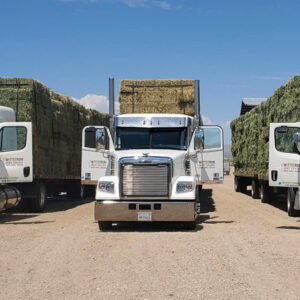 Hay Trucking in California